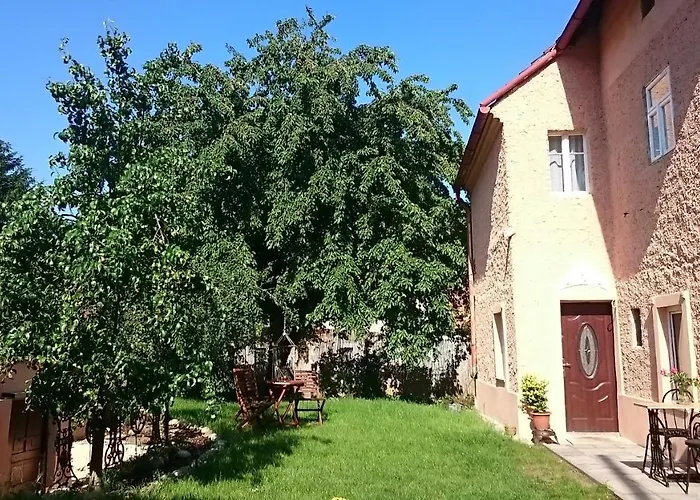 Saslun * Kolesov